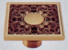 Hố thoát sàn CLV8542